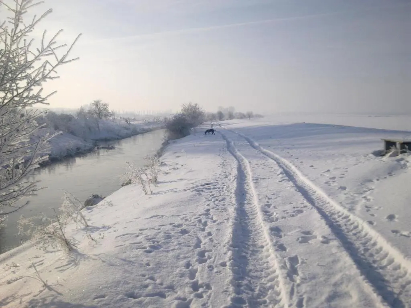 Fewo-Thuringer-Becken