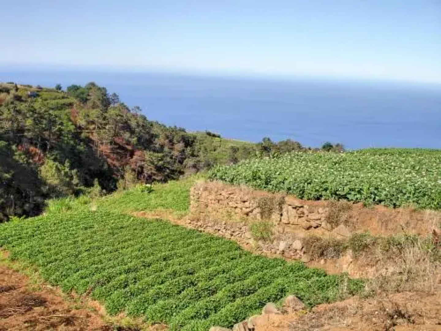 Theo’S House by Ourmadeira