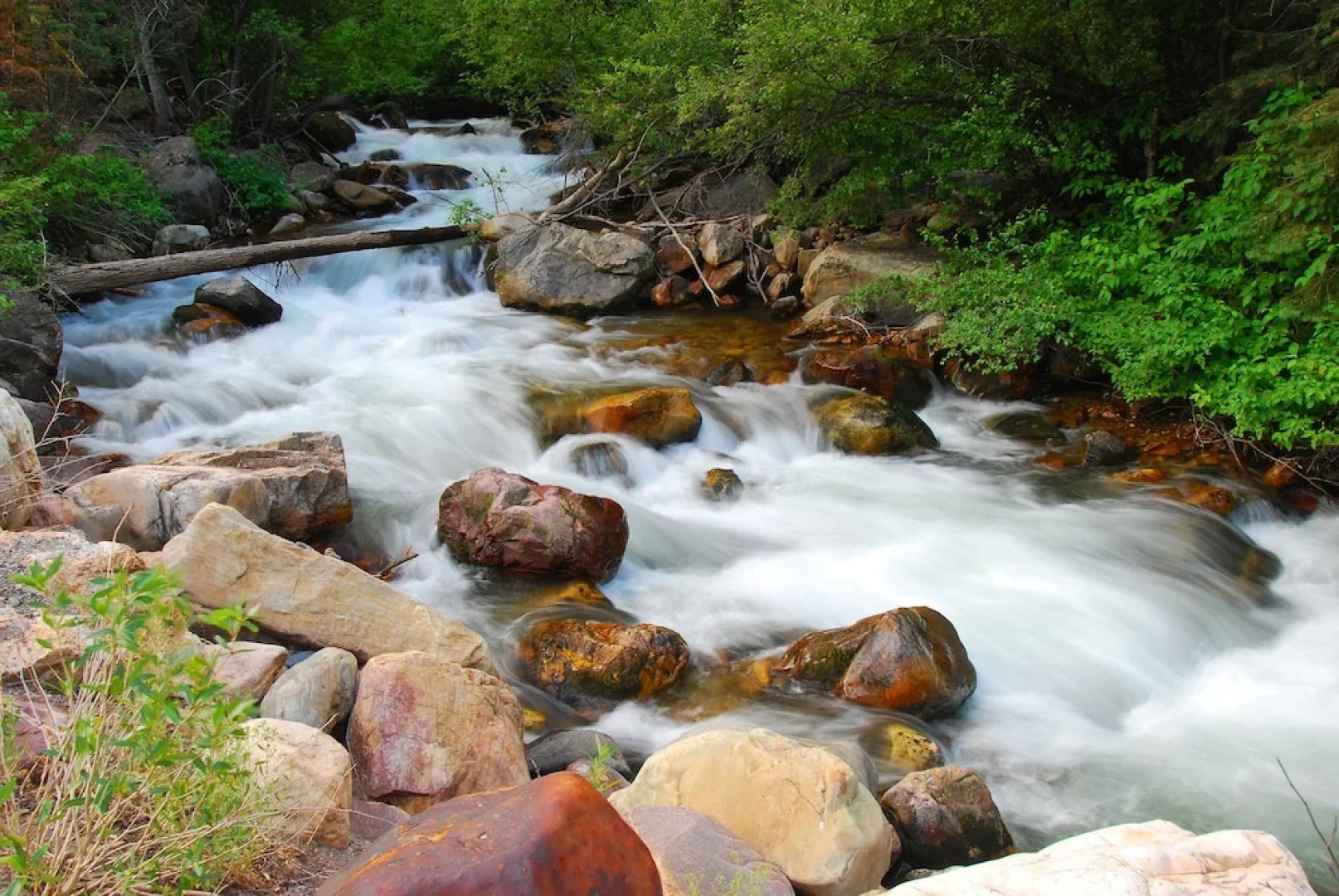 1288 Deer Park Circle Condo #103 3 Bedrooms 2 Bathrooms Condo