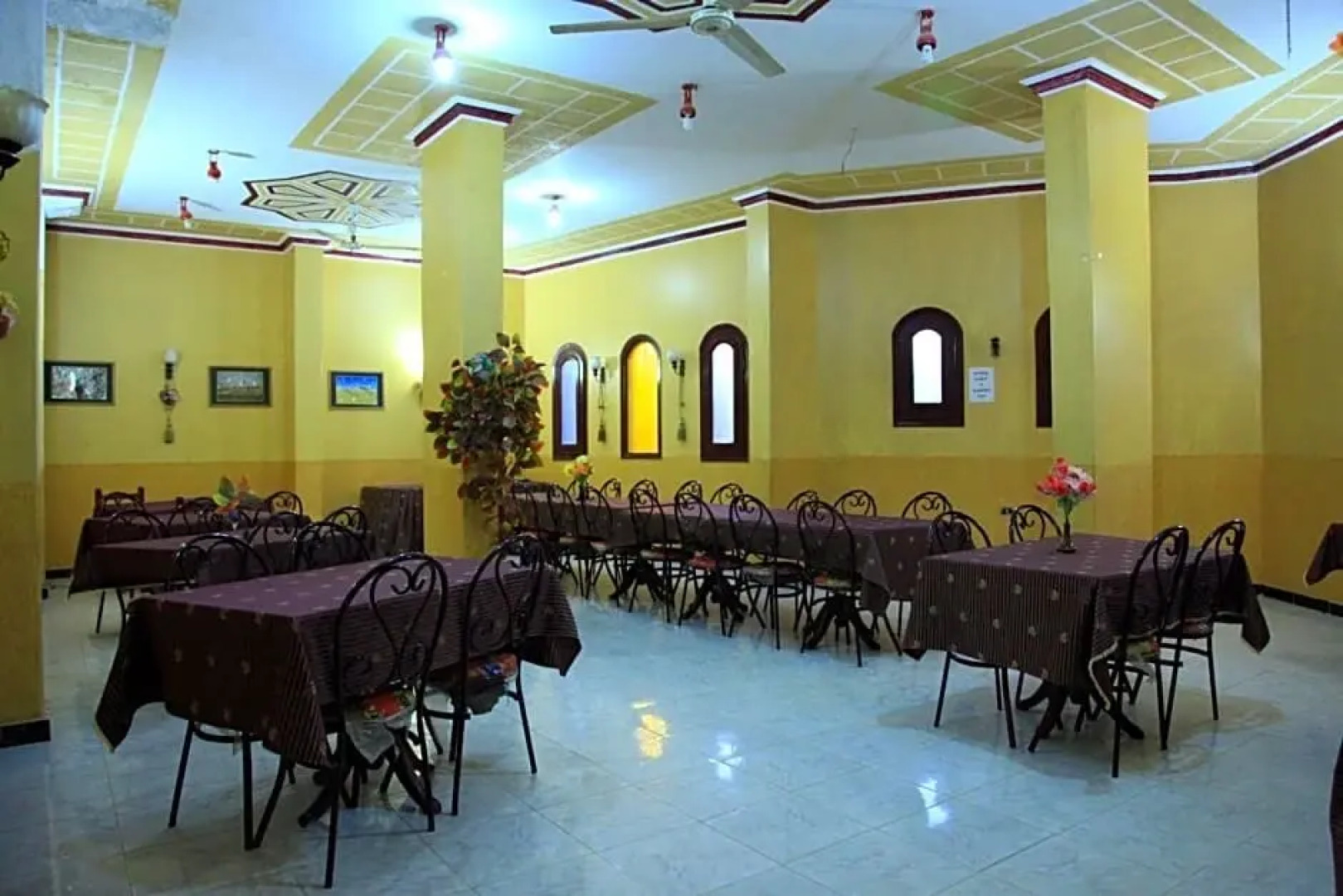 Western Desert Hotel & Safari