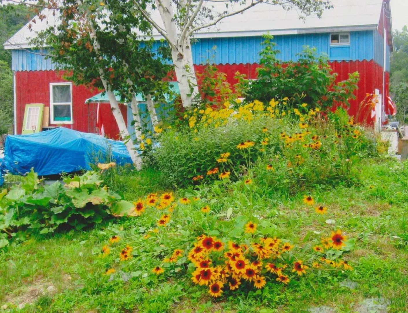 Millyard Recreation Riverfront Cottages