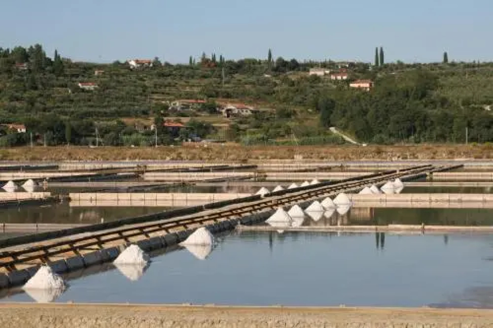 Rooms & Apartments Giulia