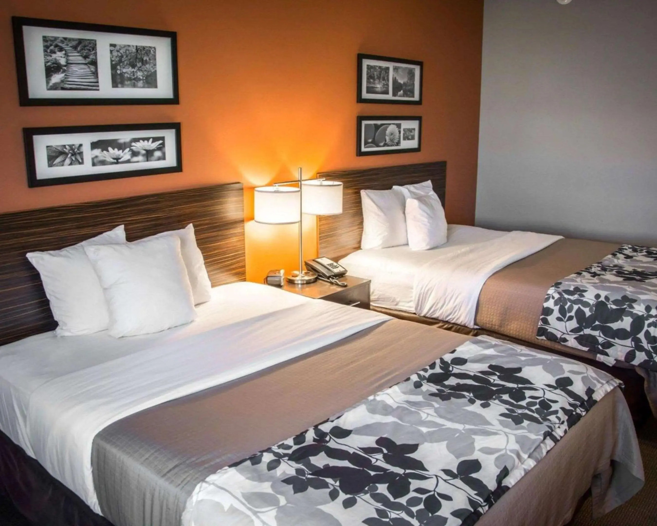 Sleep Inn & Suites Shreveport near Medical Center