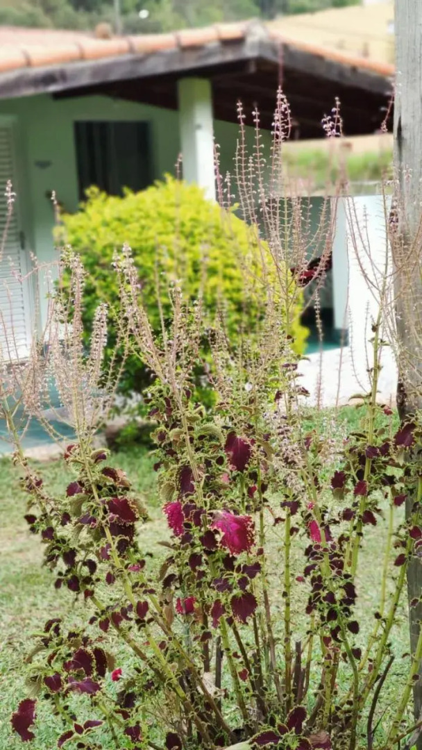 Vinícola Vale do Vinho