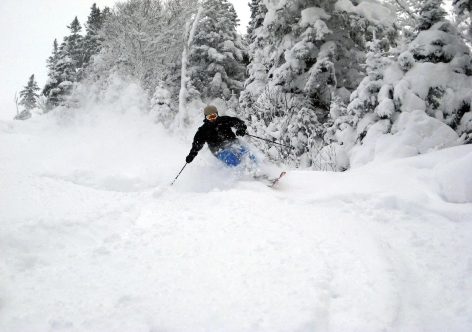 Отель Deer Lake Horizon 