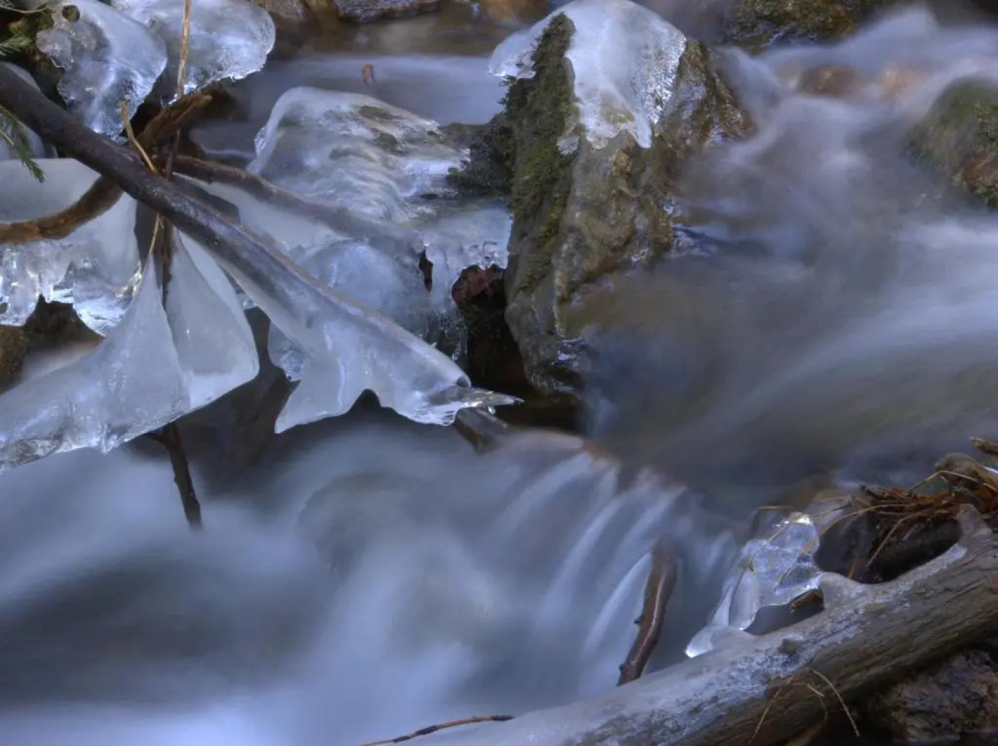 Ferienwohnung Familie Kitzke
