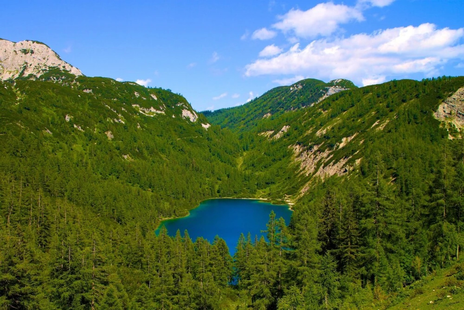 Appartements-Restaurant Schwaiger