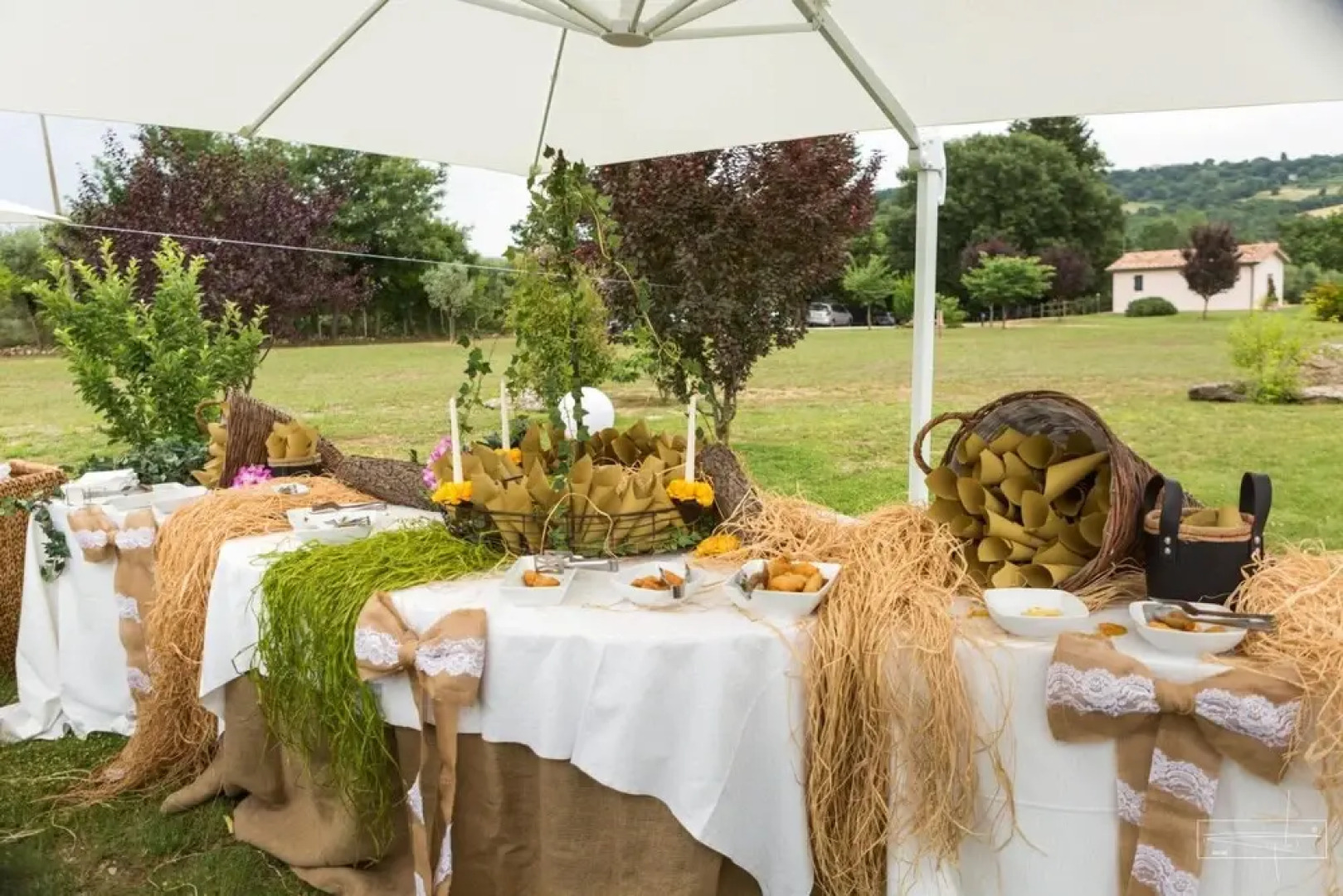 I Sicomori - Seme di Carota - Glamping e appartamenti con piscina a Saturnia