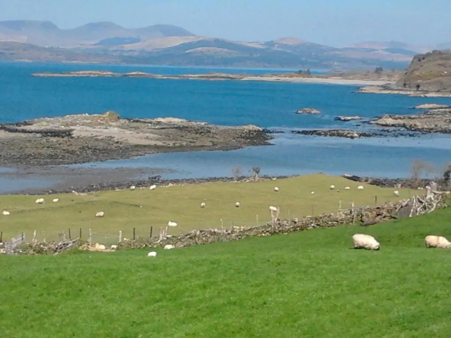 Westland Apartment No. 1