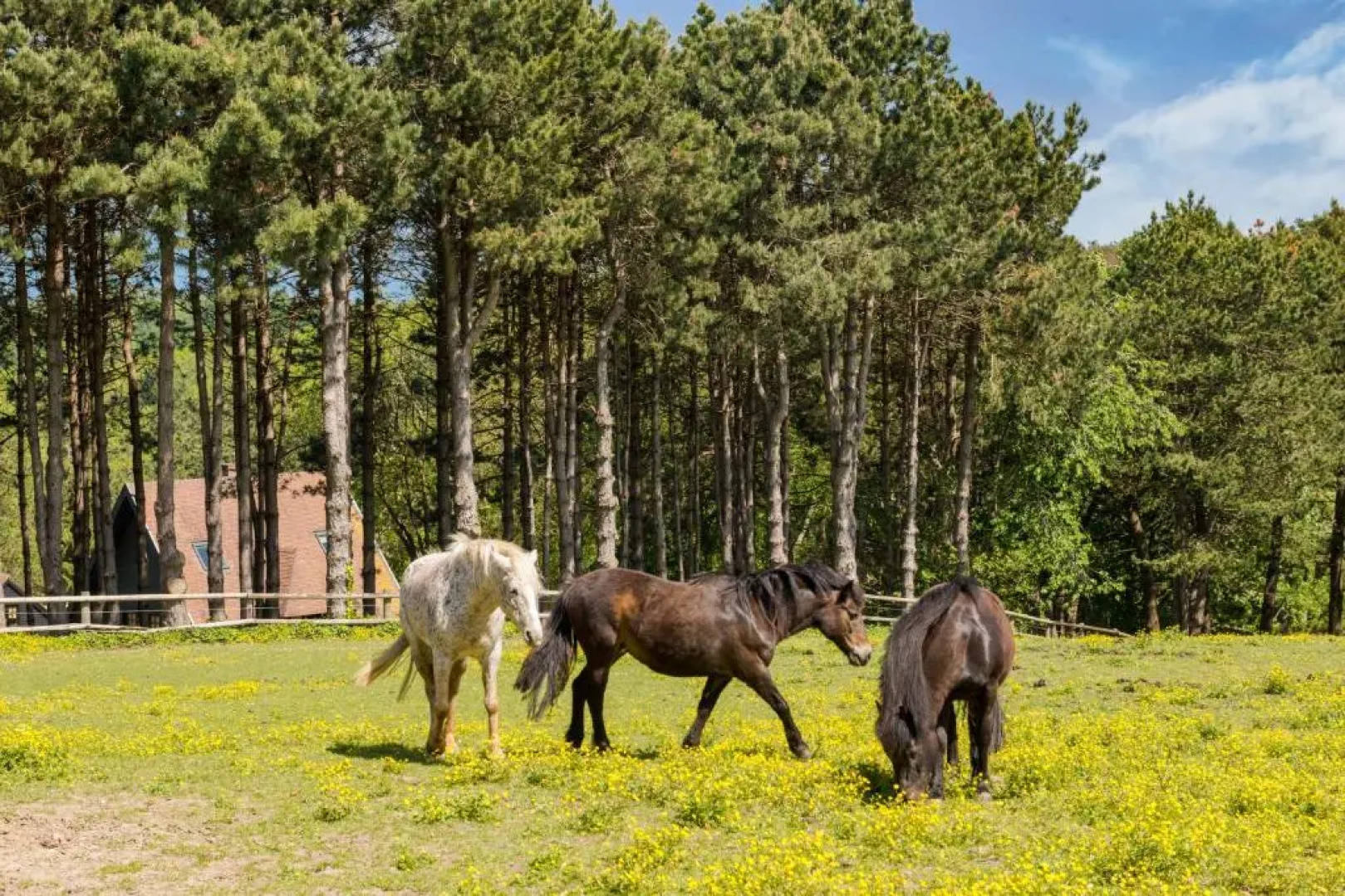 Hotel Spa Les Pins De César