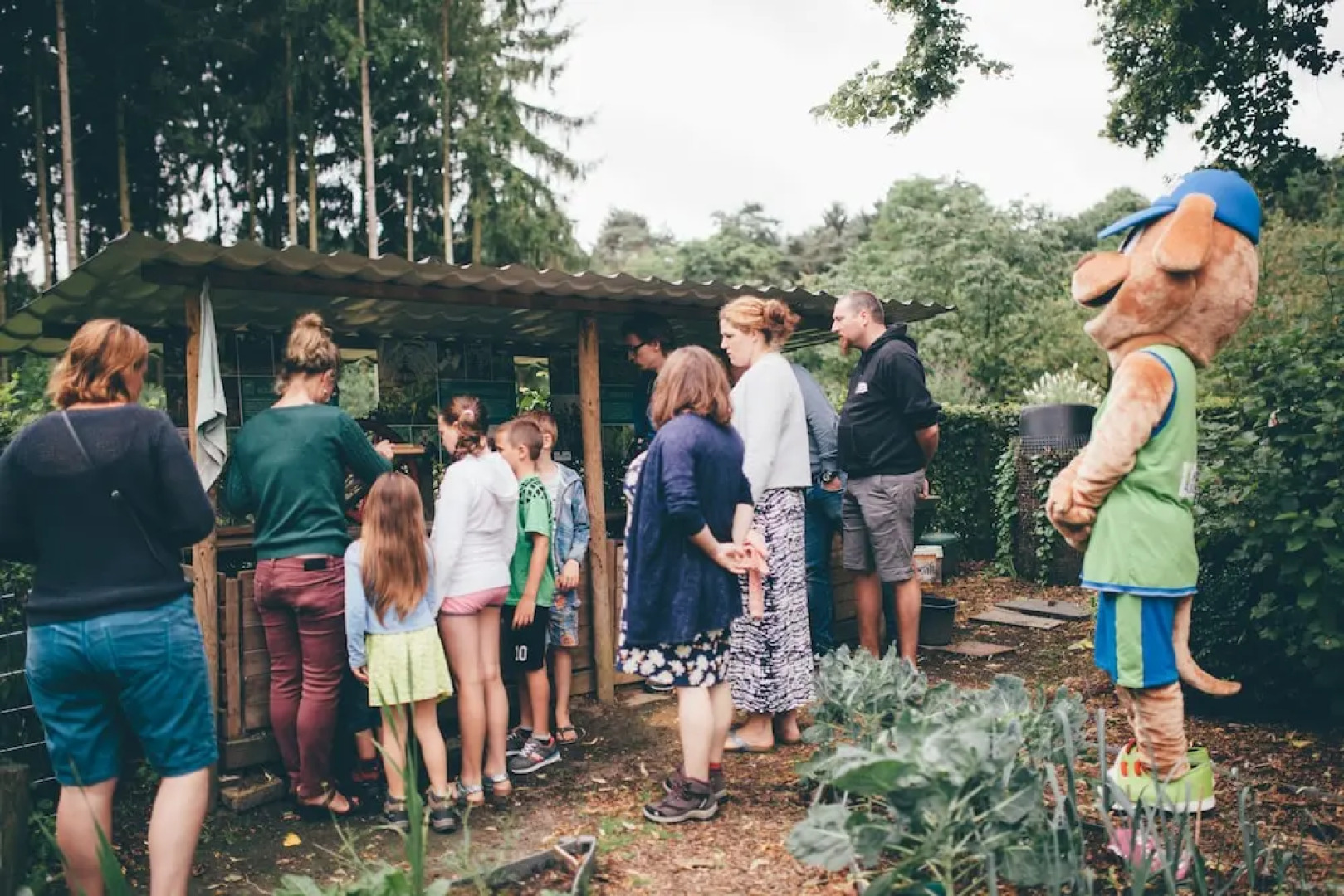 Green Resort Limburg