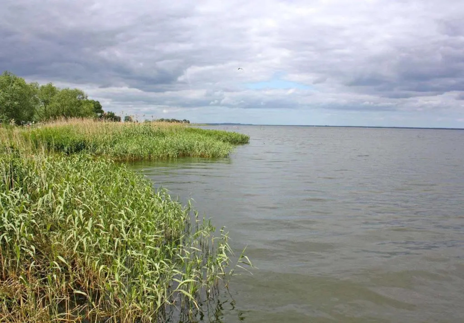 Ferienhaus Luckow VORP 2921