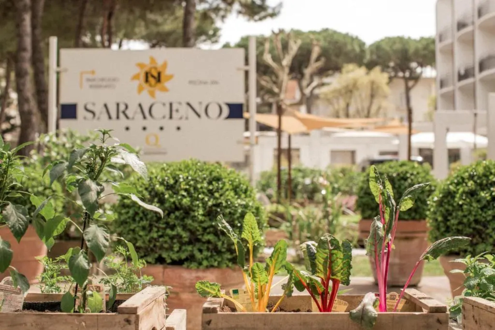 Hotel Saraceno