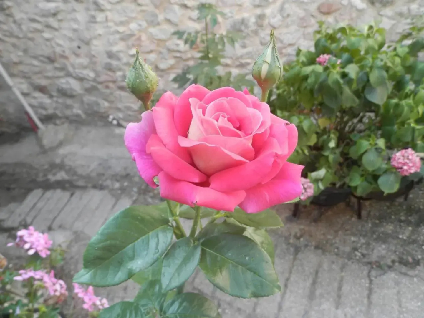 Residenza di Paese Castello del Poggio