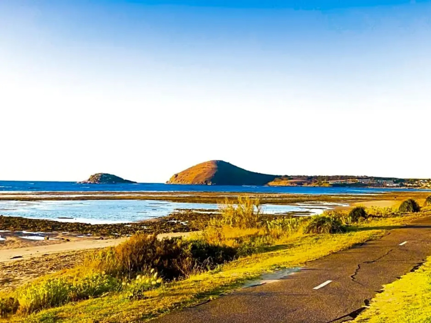 The Bluff Resort Apartments