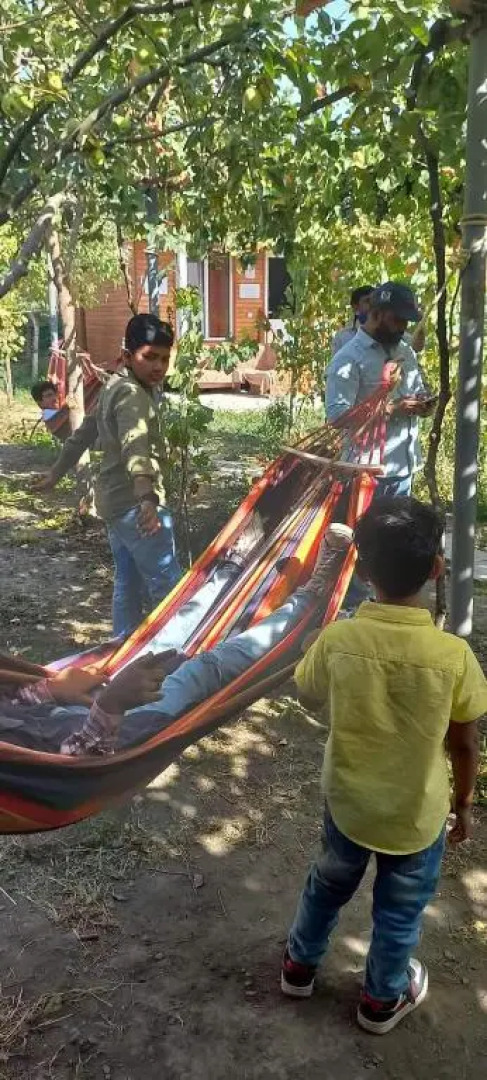 Cottage and Gigo Papa's Wine Cellar