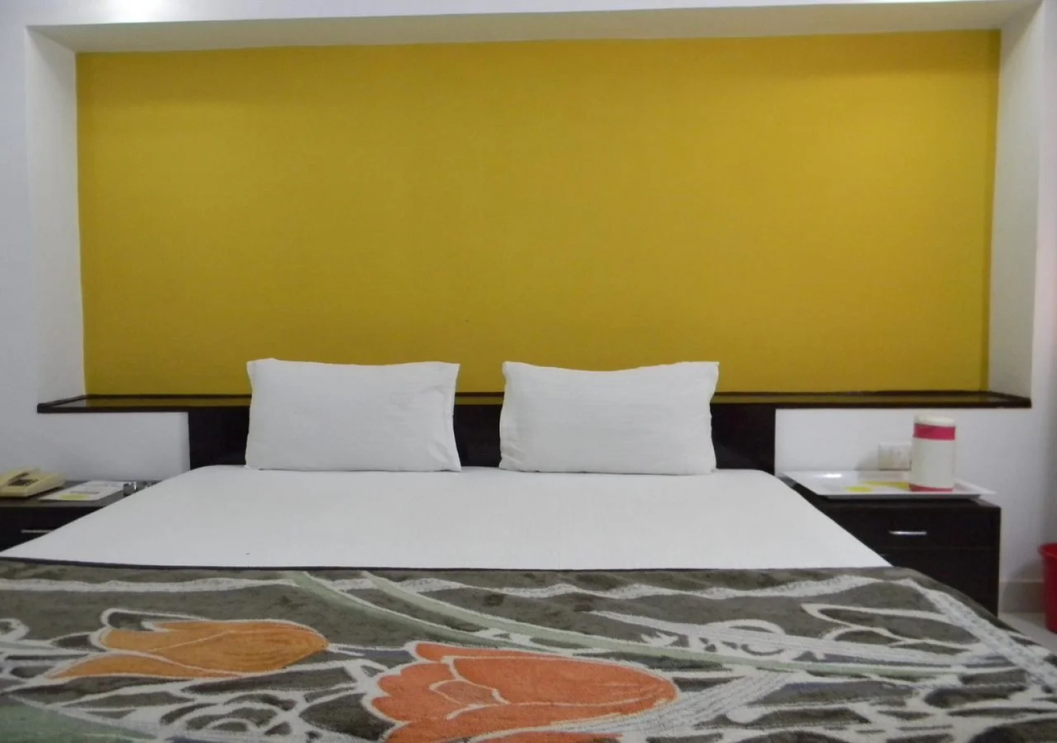 Hotel Narayana Palace