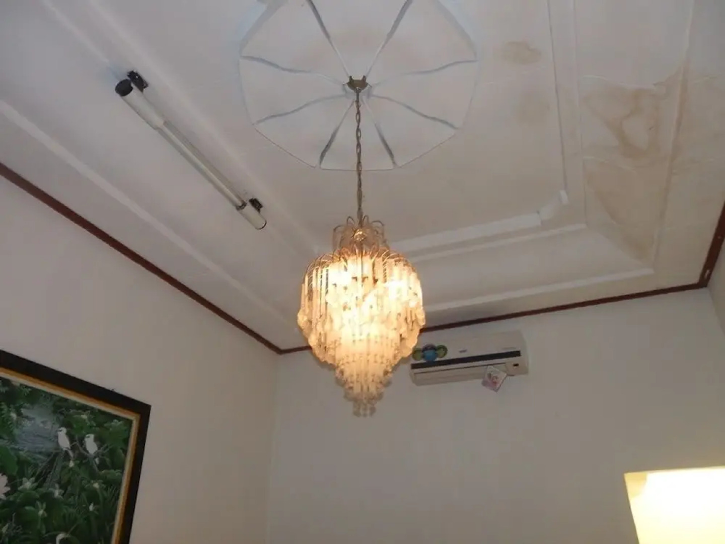 Backpacker Bali Barat