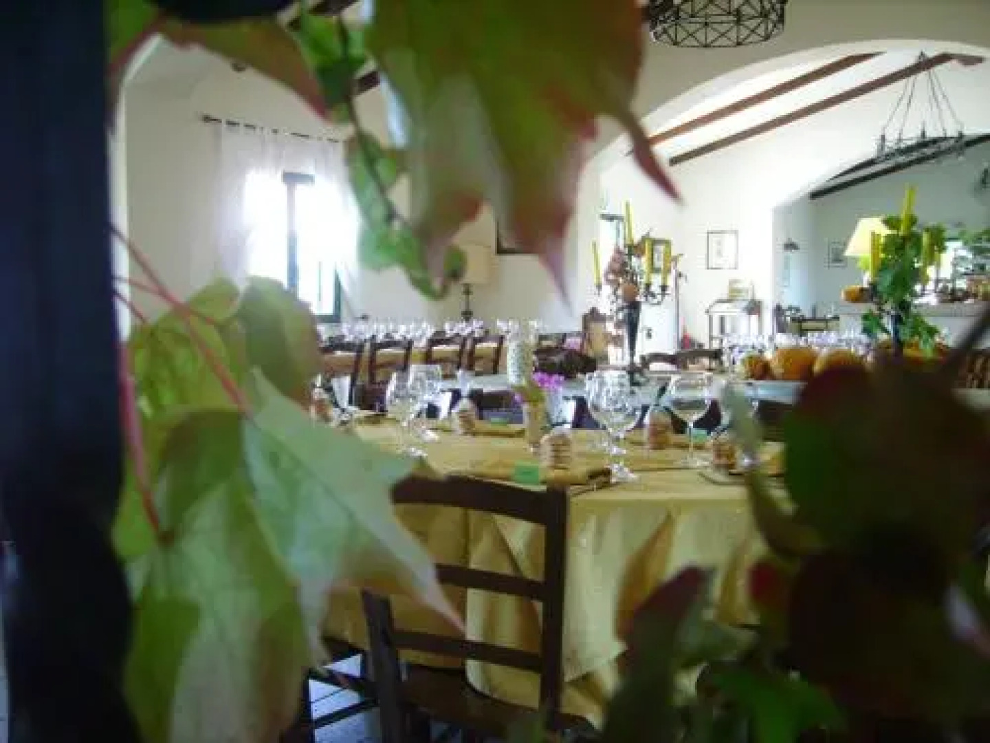 Carrera Della Regina