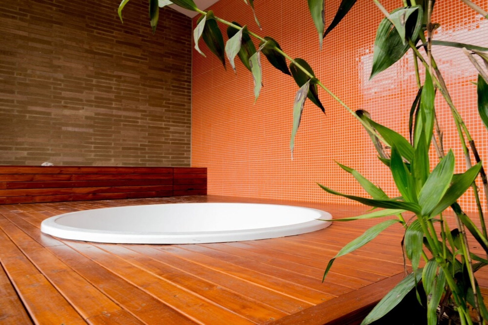 Equilibrium By Nomad Guru