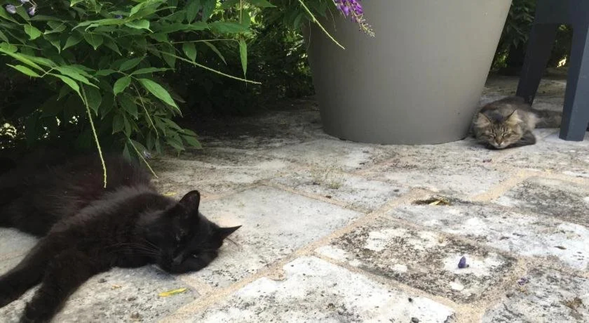 Maison d'Hôtes Moulin Saint Julien