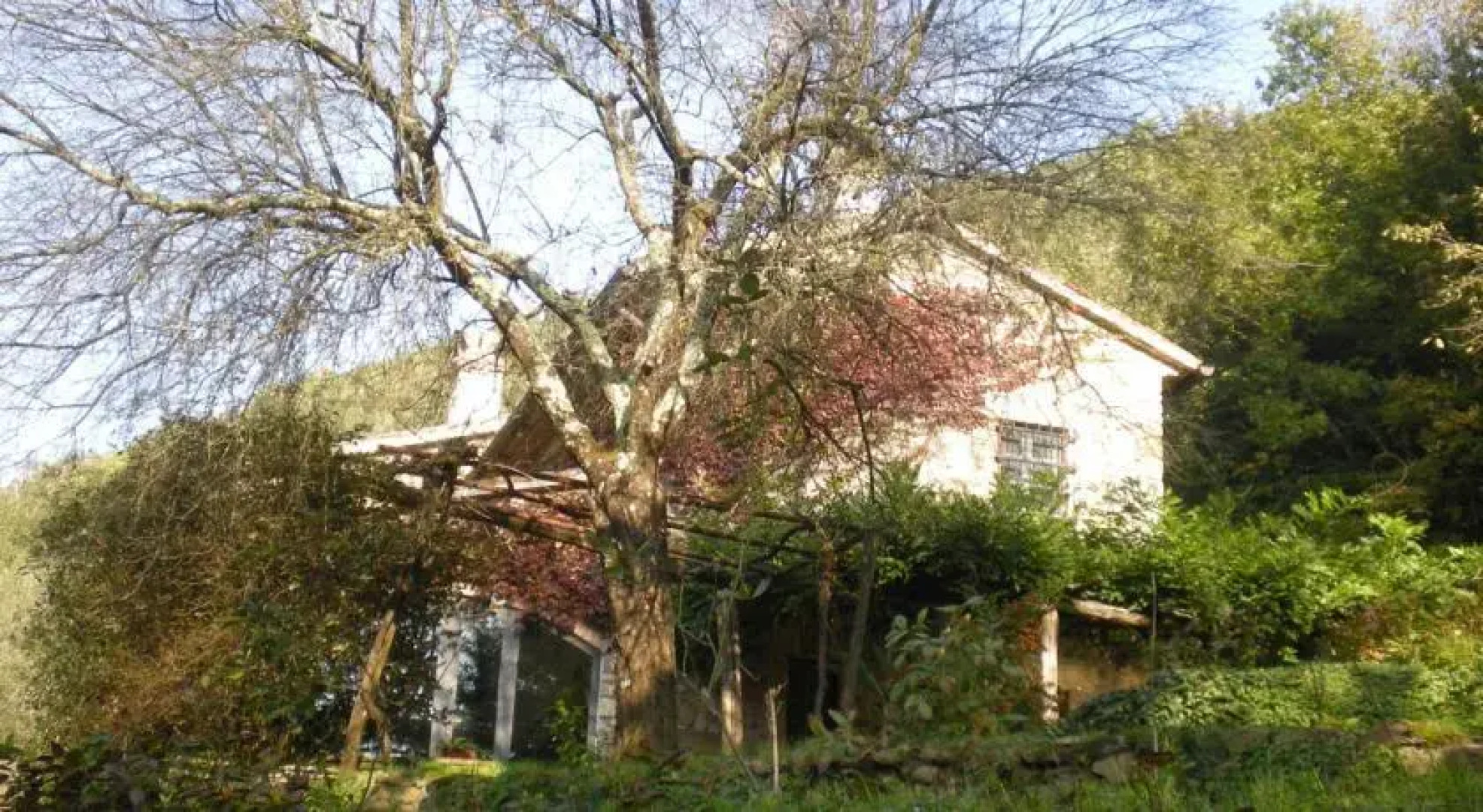 Il Casale Delle Muse