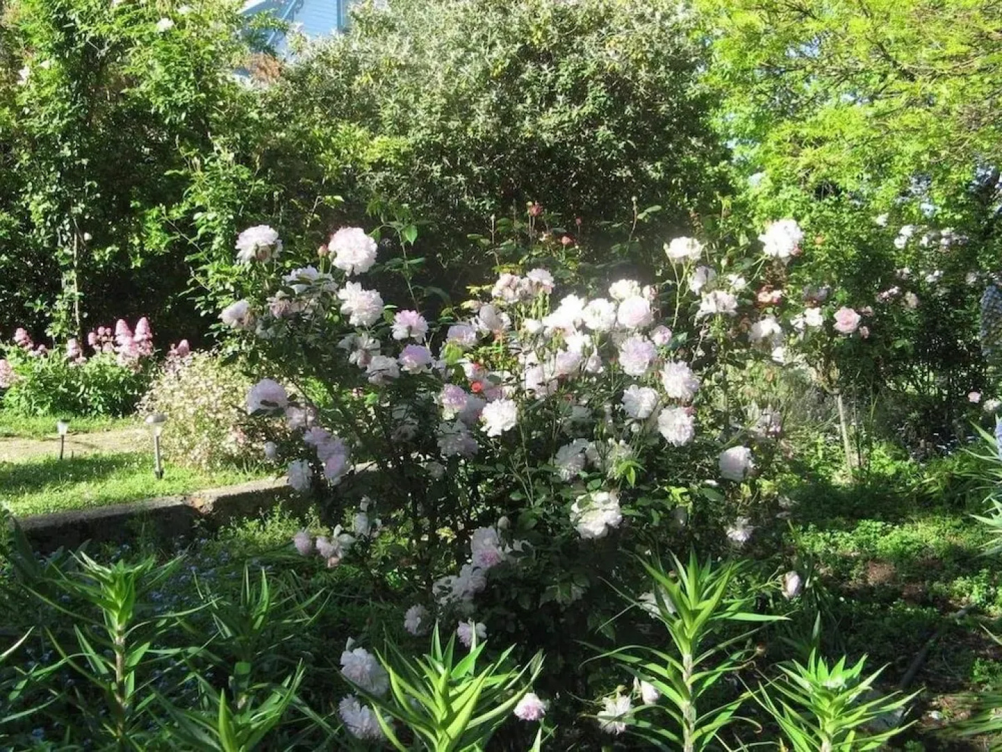 Westella Colonial B&B