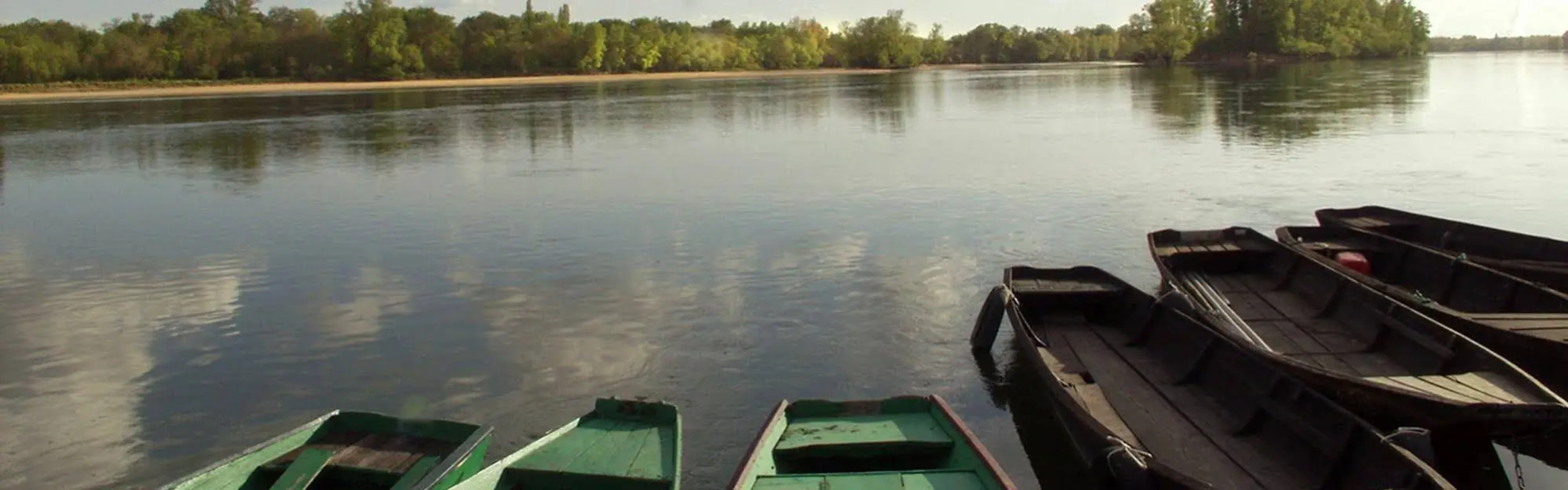 Domaine de la Roche Bellin