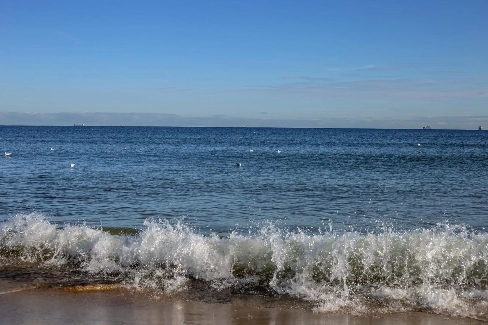 Prawdzic Resort & Conference