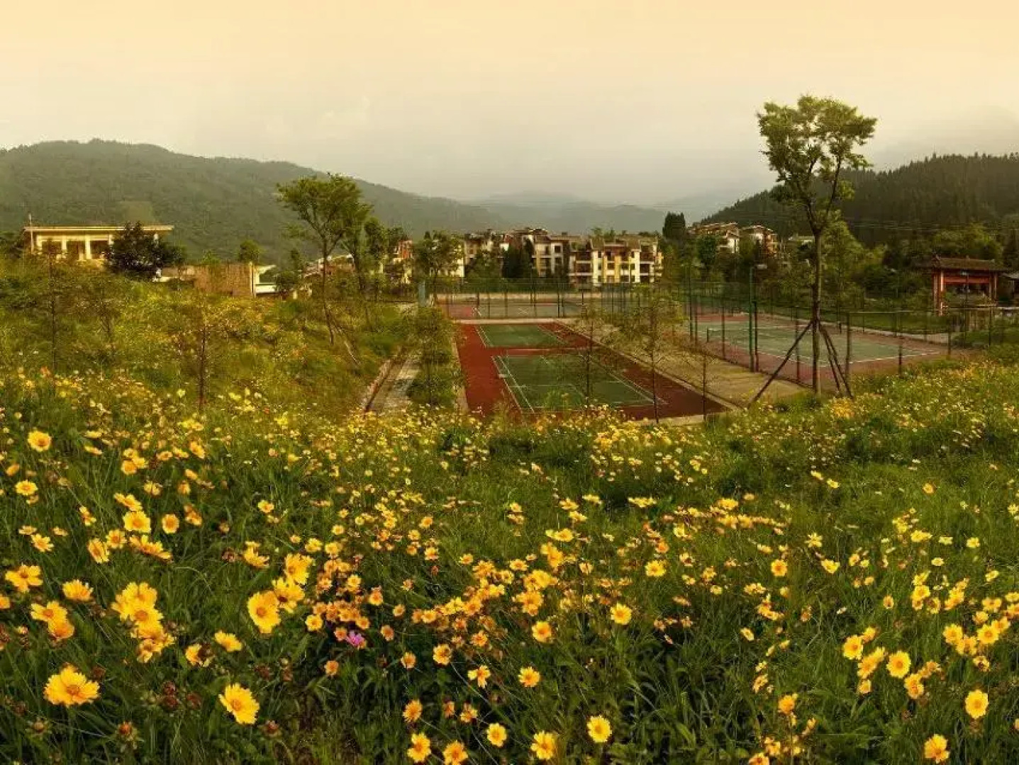 Mount Emei Qilingping Hot Spring Hotel