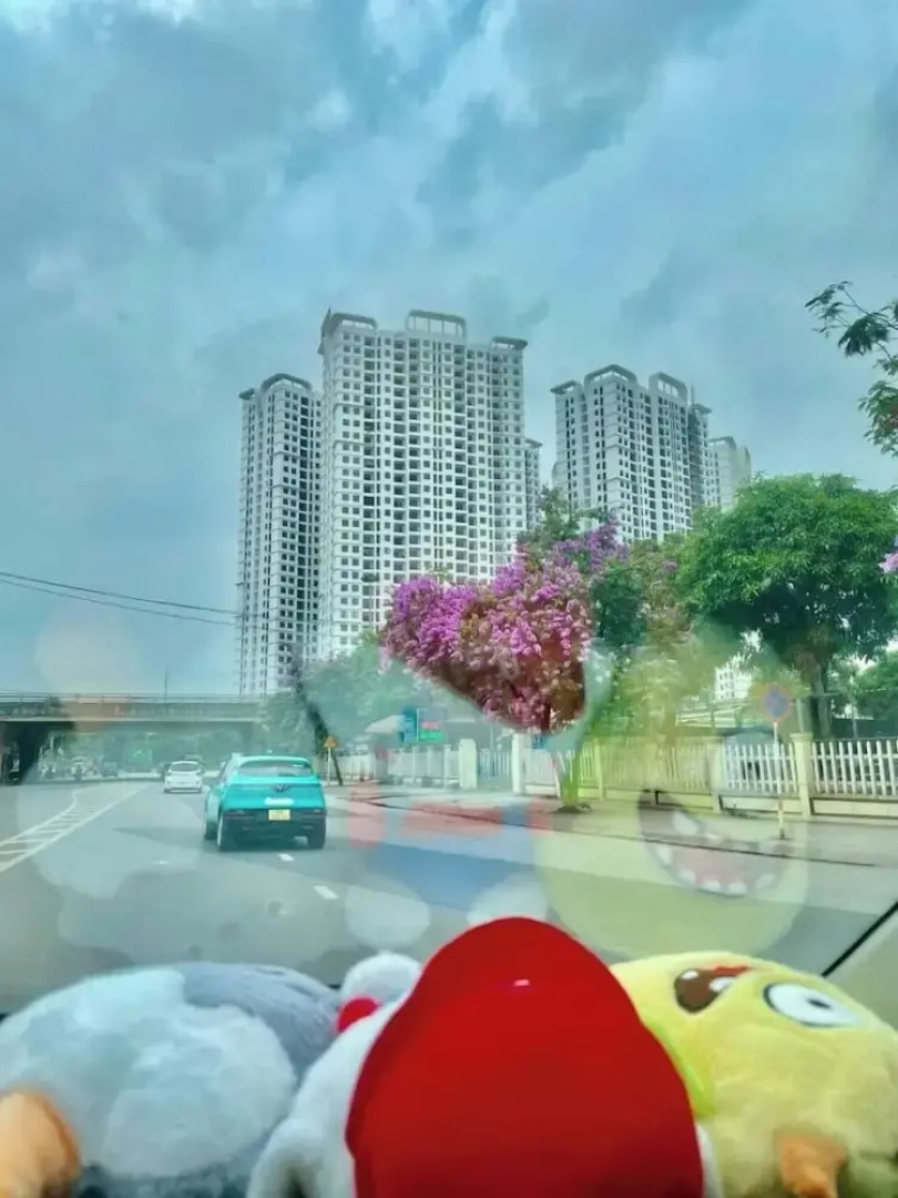 Chill Home - Chung Cư Tecco Elite City