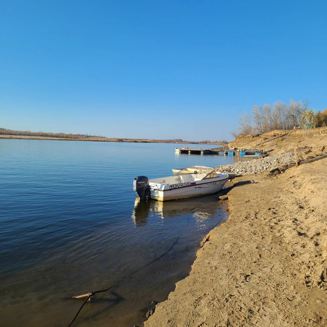 Белые холмы