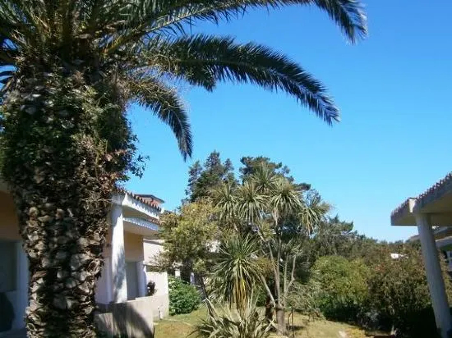 Appartamenti Il Giardino