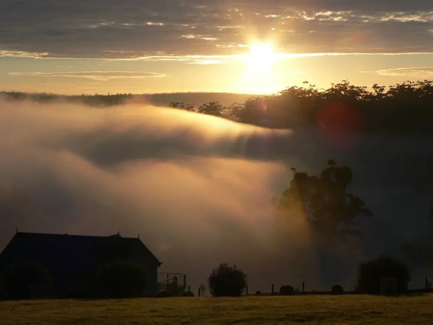 Scarlet Woods Chalets