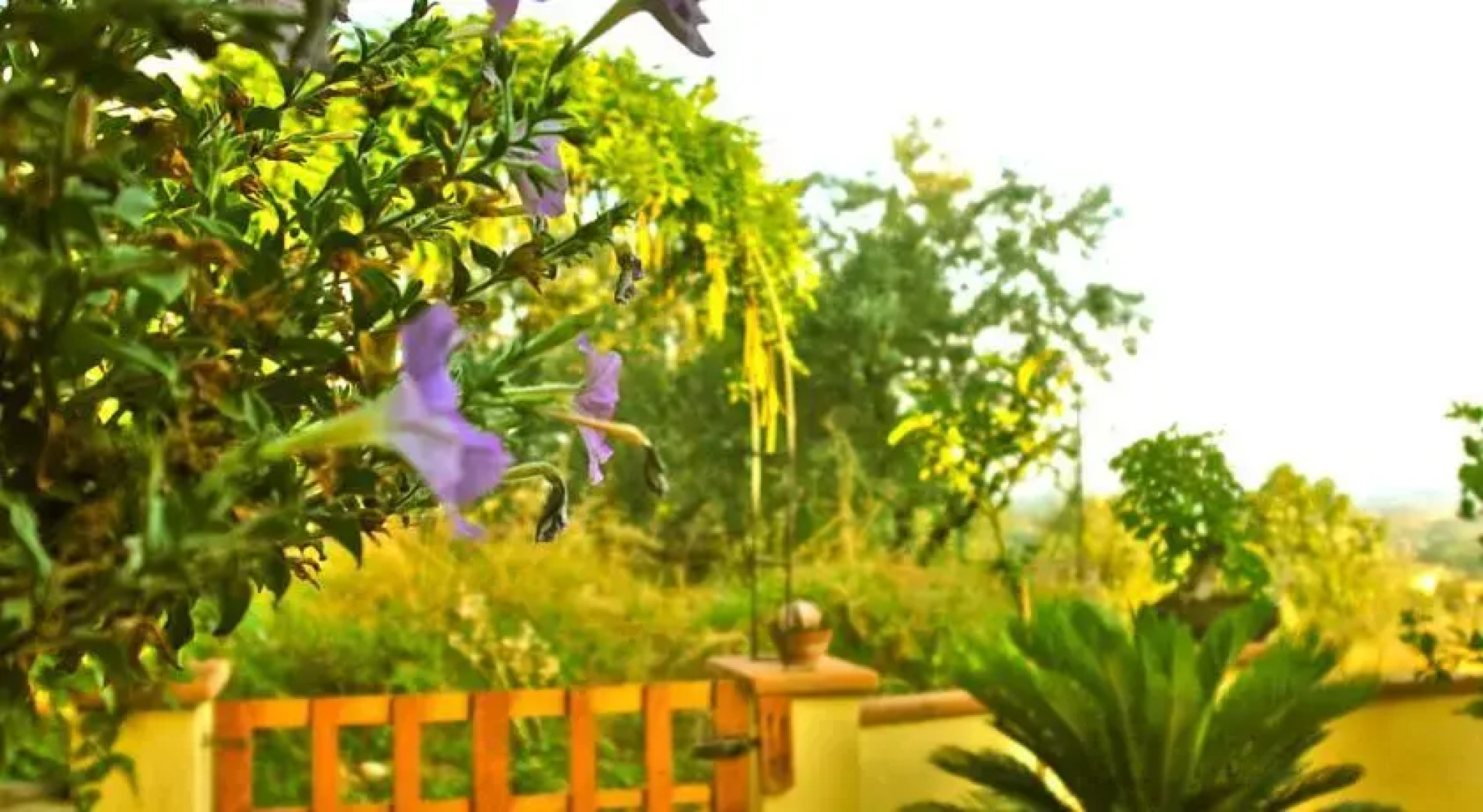 BeB Bio Vegan Vecchia Sommavilla