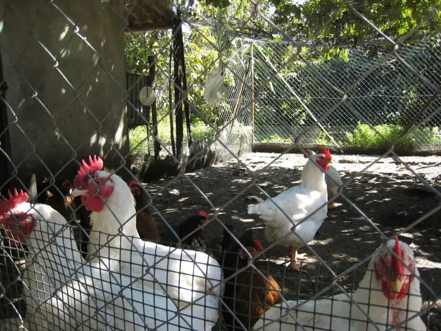 Quaint Holiday Home in Jimena de la Frontera With Terrace