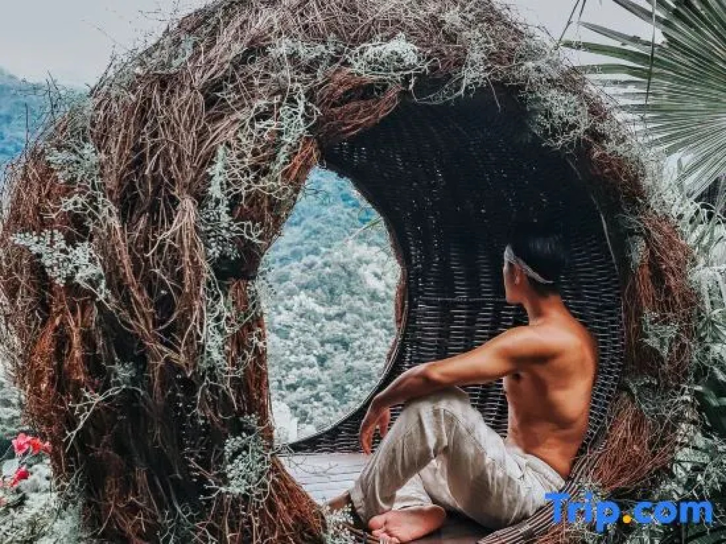 Mangshan Forest Hot Spring Tourism Resort