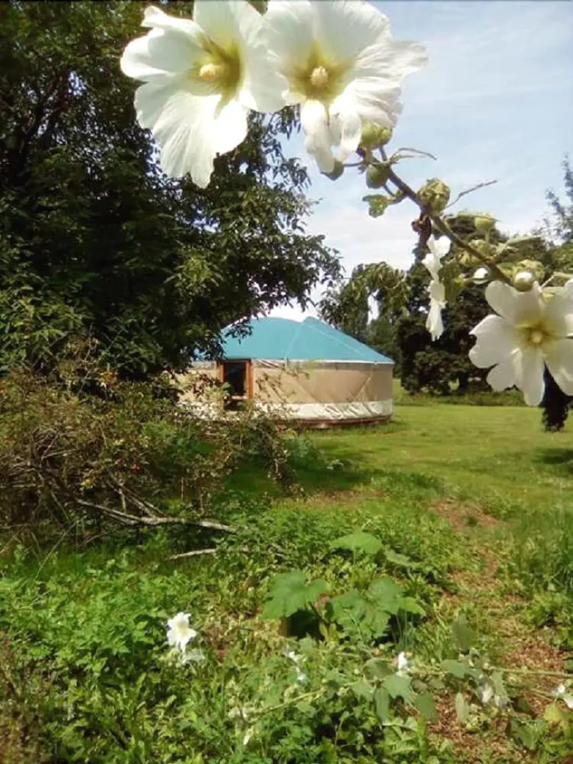 Au fil de l'Eau - La Yourte