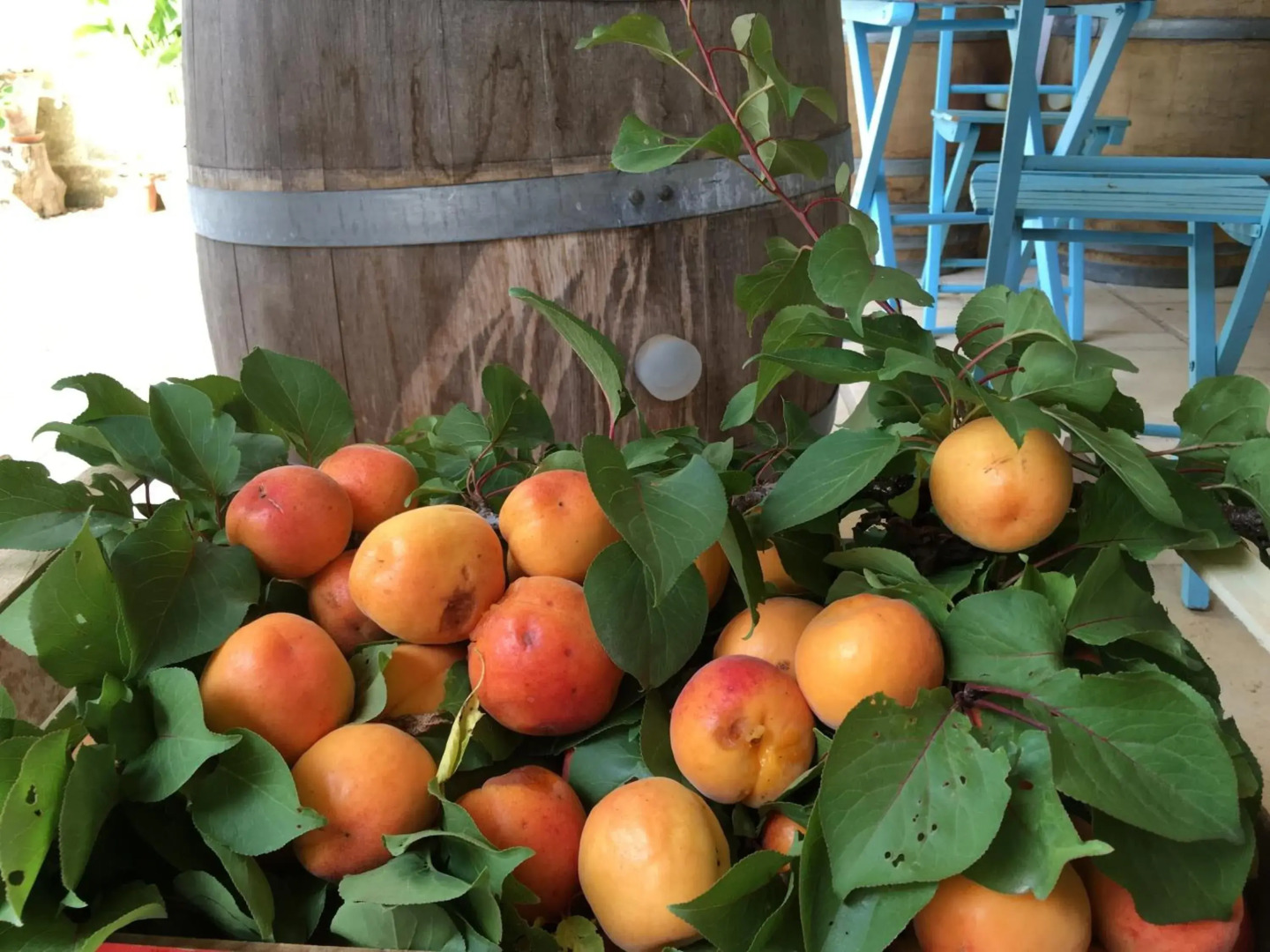 Corte dei Salentini Bed & Breakfast