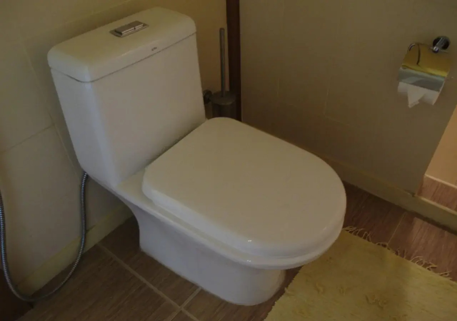 Saku Boutique Homestay