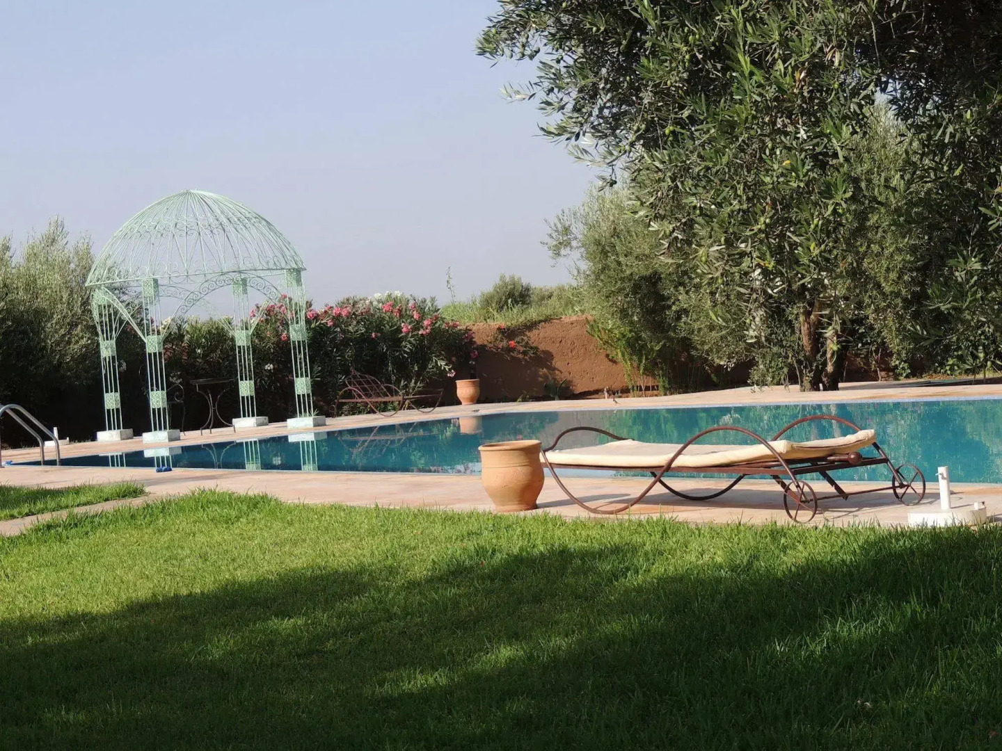 Les Oliviers de L Atlas