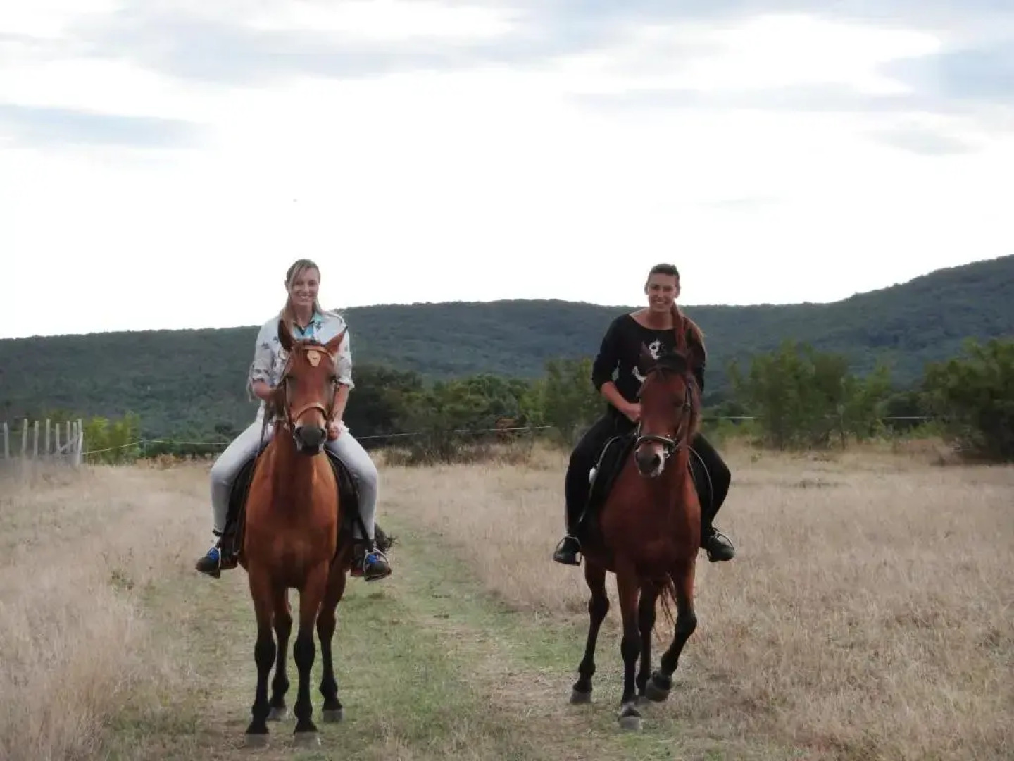 The Colourful Mansion Hotel