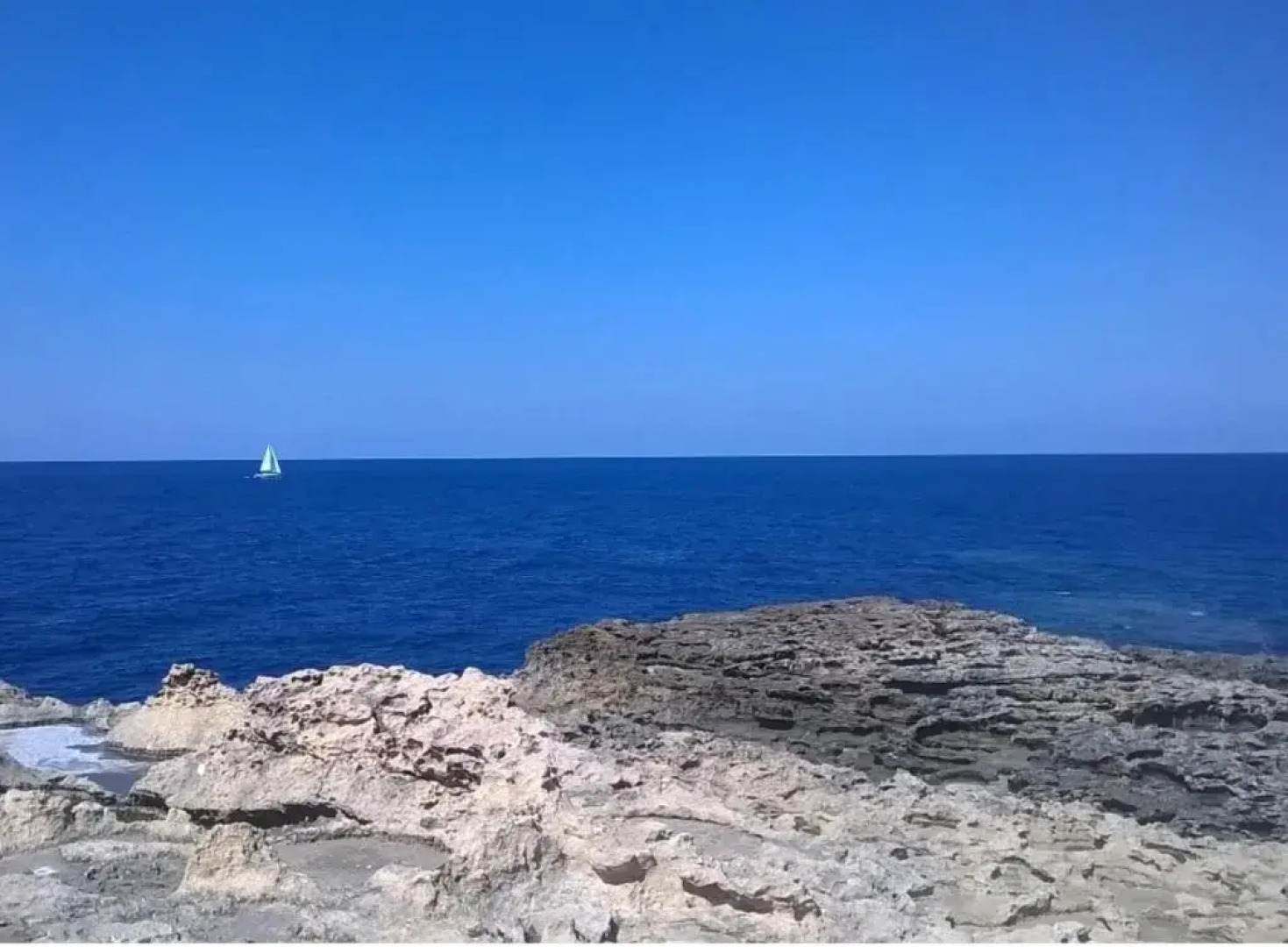 Zsa Zsa Holiday Home