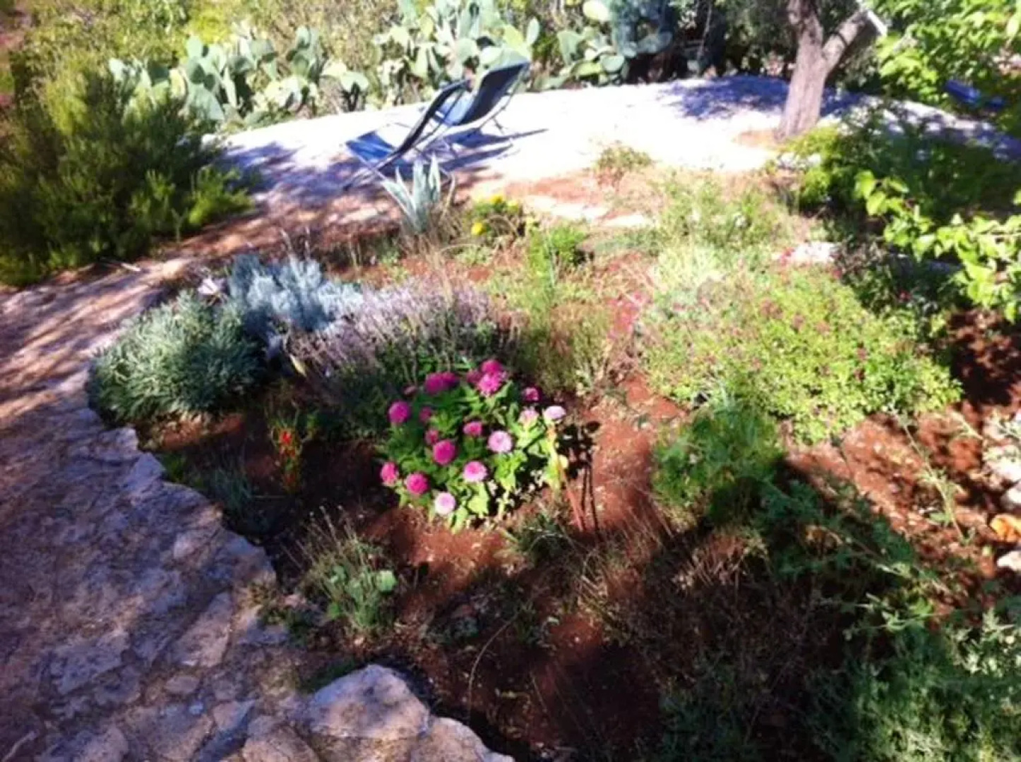 Holiday Home Casa Giuliveto