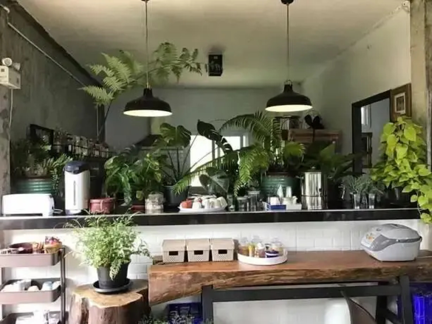 Phongtang garden Hill Homestay