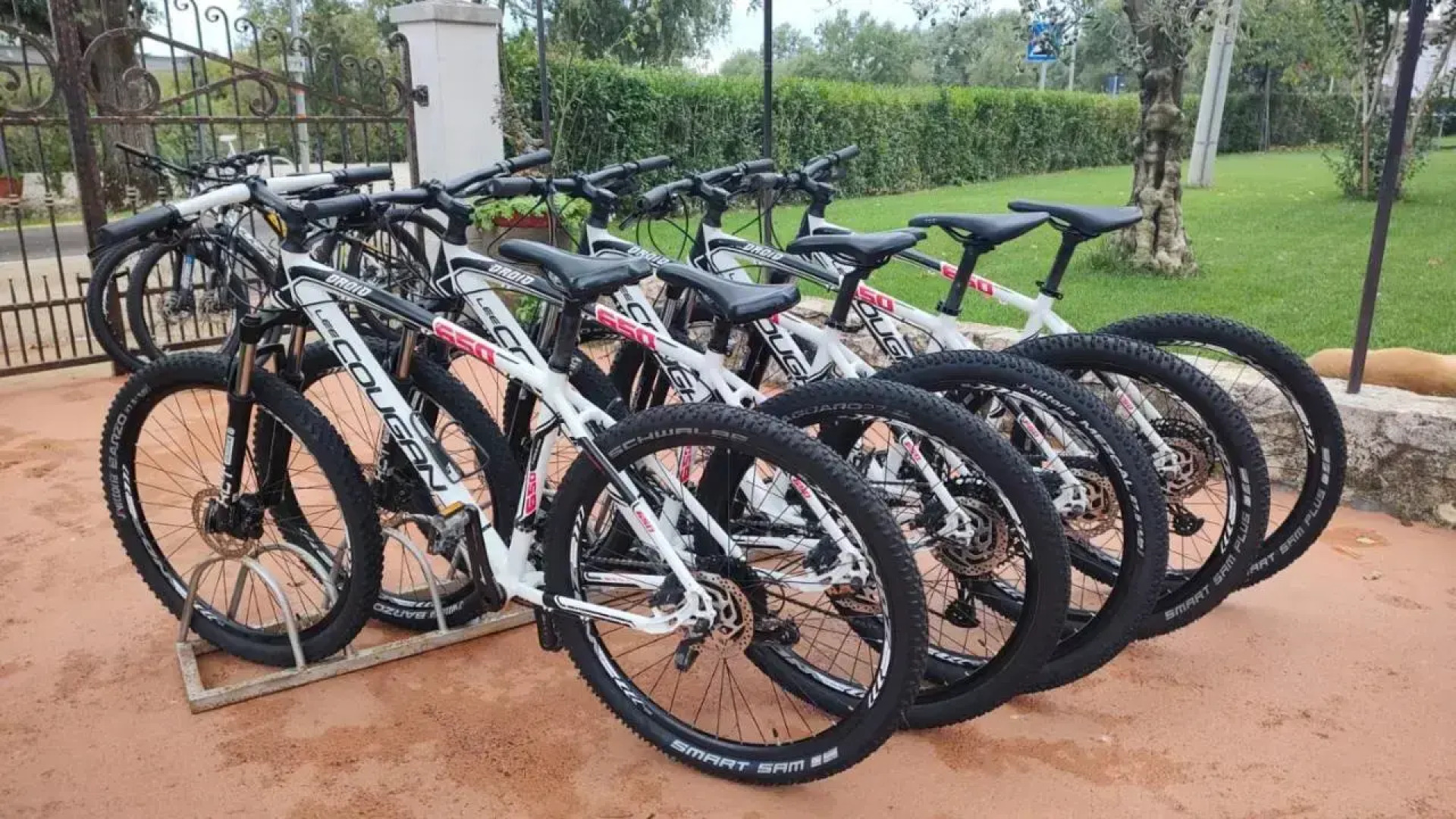 Apartments Villa Amaryllis