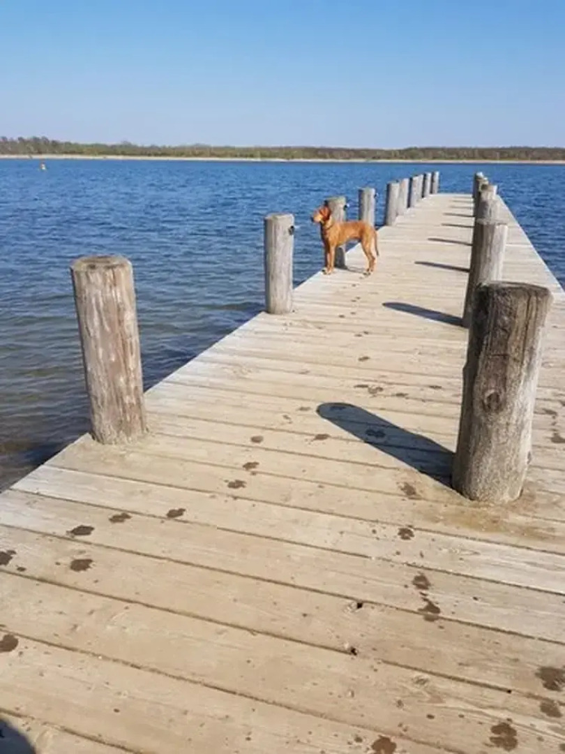 Warias Hotel & Restaurant