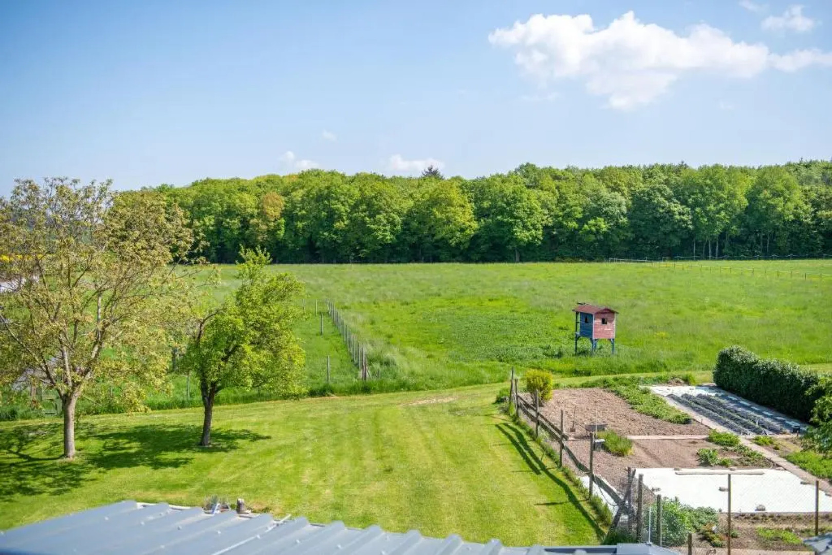 Waldesblick Hotel & Ferienwohnungen