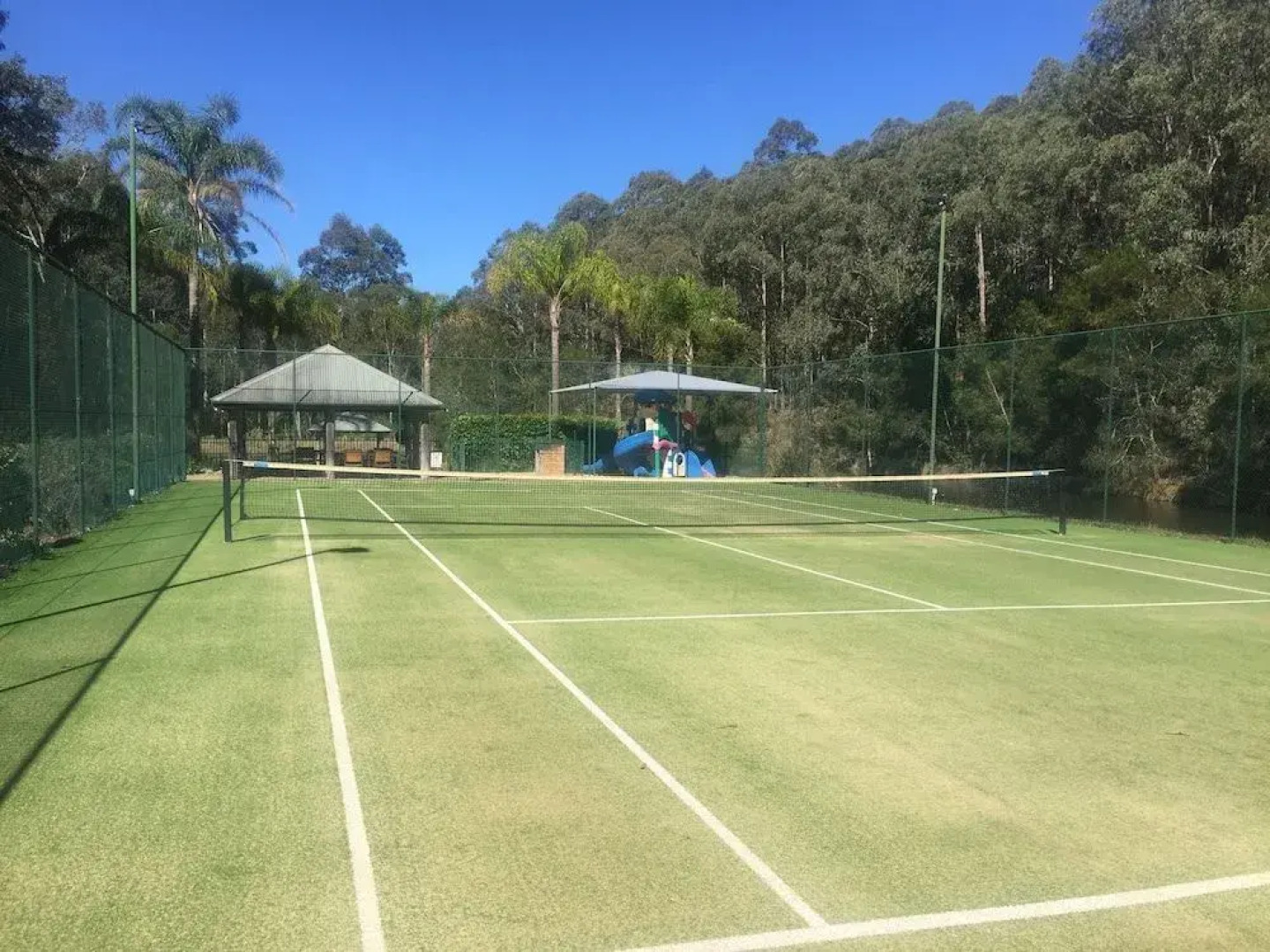 Blackwattle at Barrington Tops