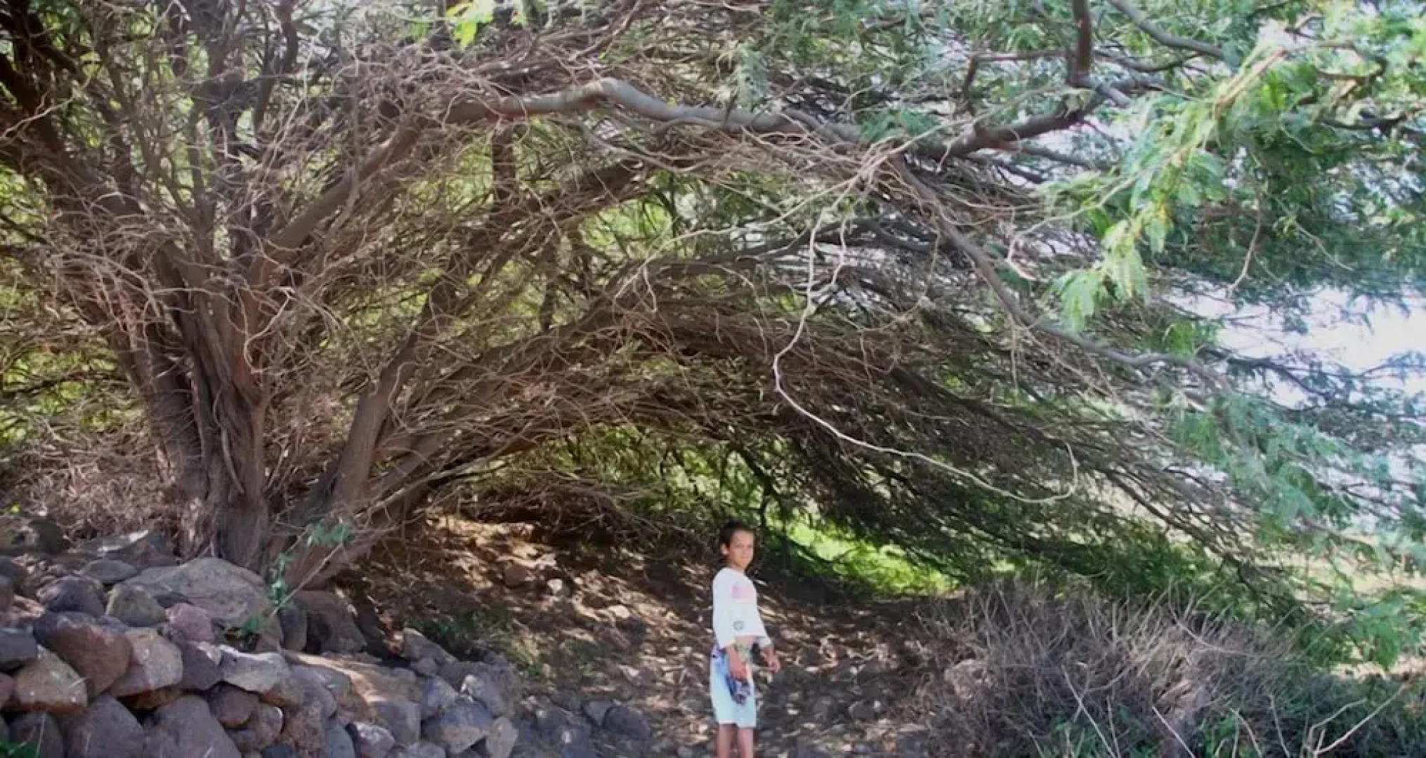 Farinha de Pau - Eco Rural Project